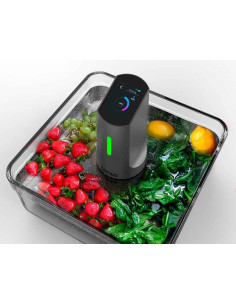 DTX-1 Ultrasonic Fruits and Vegetable Cleaner 2