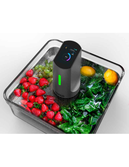 DTX-1 Ultrasonic Fruits and Vegetable Cleaner
