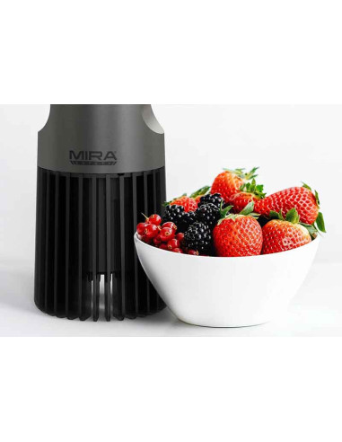 DTX-1 Ultrasonic Fruits and Vegetable Cleaner